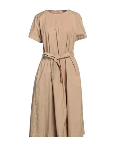 Cappellini By Peserico Woman Midi Dress Camel Size 12 Cotton, Elastane In  Neutral | ModeSens