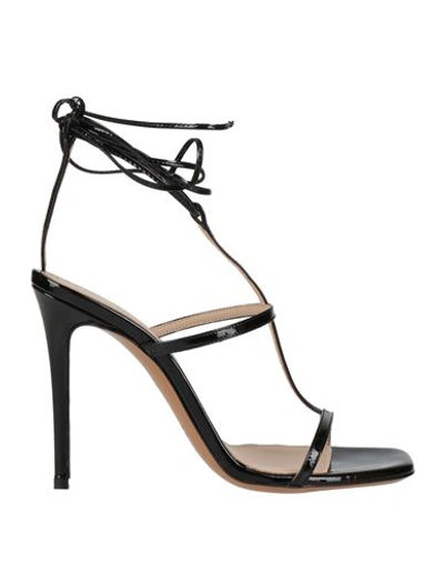 Shop Maria Vittoria Paolillo Mvp Woman Sandals Black Size 8 Soft Leather