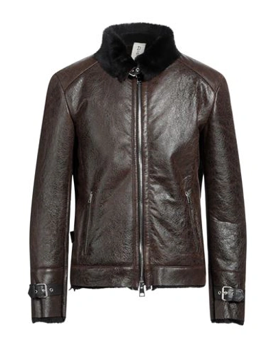 Shop Delan Man Jacket Dark Brown Size 42 Ovine Leather