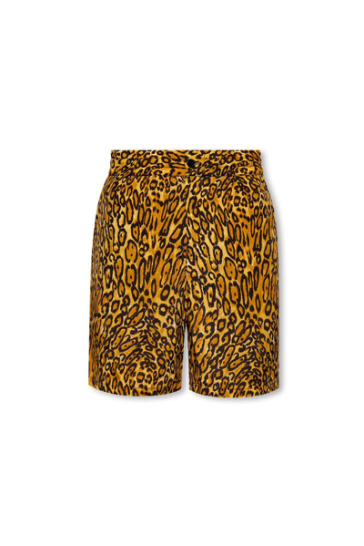 Shop Moschino Leopard Printed Shorts In Multi