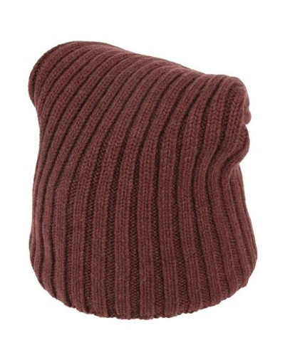 Shop Aragona Woman Hat Cocoa Size Onesize Cashmere In Brown