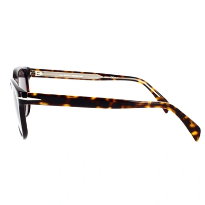 David Beckham Sunglasses In Havana