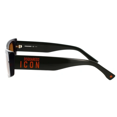 Dsquared2 Sunglasses In Havana