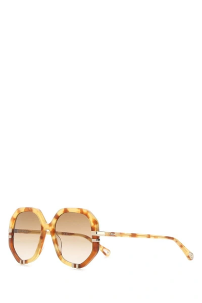 Shop Chloé Chloe Sunglasses In 005