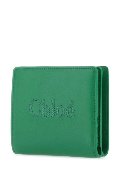 Shop Chloé Chloe Wallets In 31k