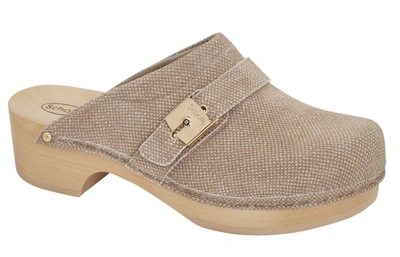 Scholl Pescura Clog 50 Shoes In 1002 Beige