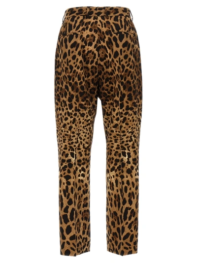 Shop Dolce & Gabbana Animalier Pants Multicolor