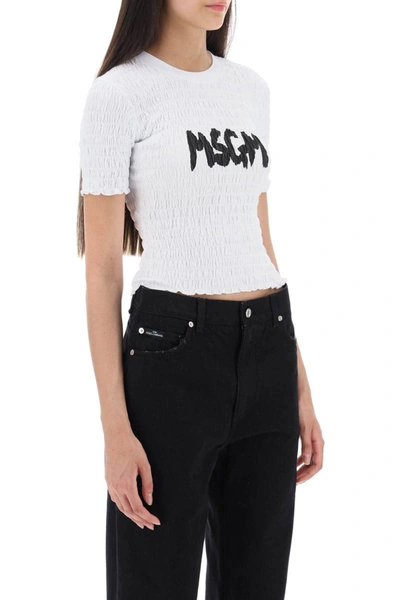 Msgm Logo-embroidered Cotton T-shirt In White