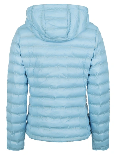 Shop Blauer Usa Coats Turquoise