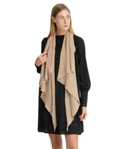 Shop Pin1876 By Botto Giuseppe Cashmere Scarf In Beige