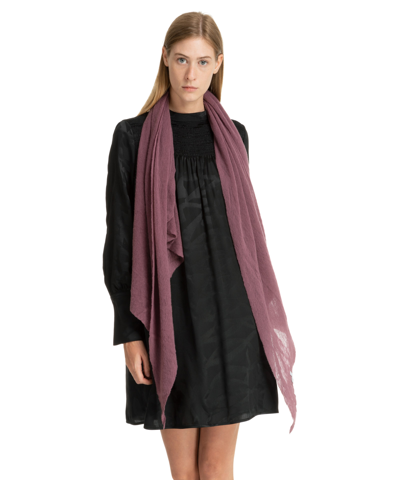 Shop Pin1876 By Botto Giuseppe Cashmere Scarf In Violet