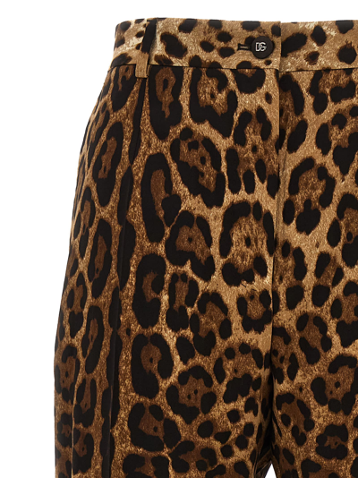 Shop Dolce & Gabbana Animalier Pants In Multicolor