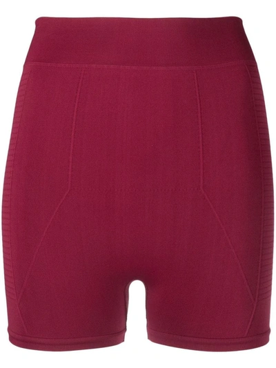 Rick Owens Dark Pink Dark Pink Black High Waist Knitted Shorts In Fuchsia