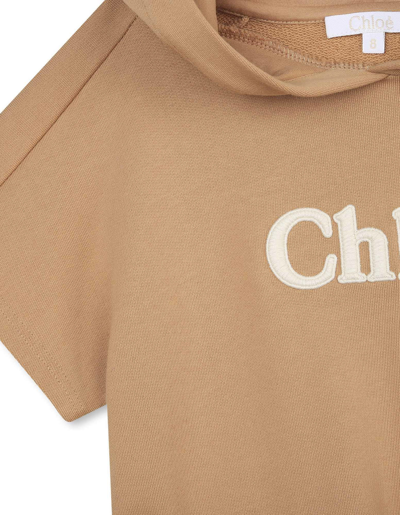 Shop Chloé Stone Maxi Sweatshirt Dress With Logo In Marrone