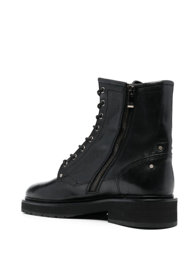 Shop Golden Goose Leather Ankle Boots In Black