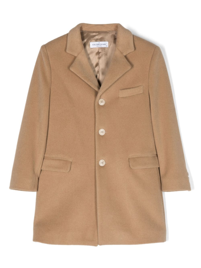 Shop Colorichiari Notched-collar Single-breasted Coat In Brown