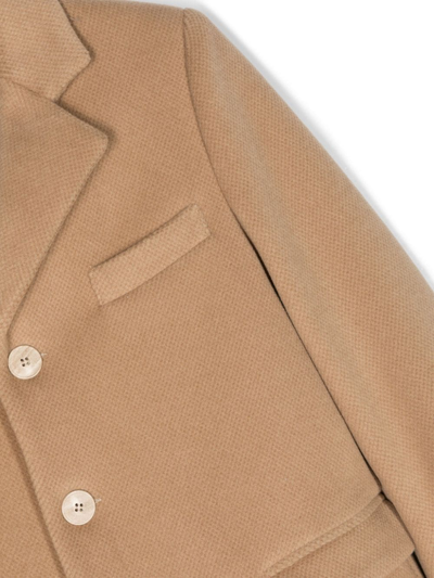 Shop Colorichiari Notched-collar Single-breasted Coat In Brown