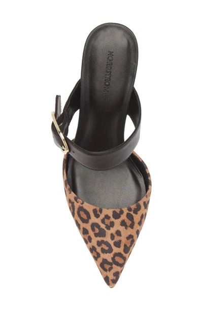 Shop Nordstrom Tammi Pointed Toe Pump In Tan Leopard