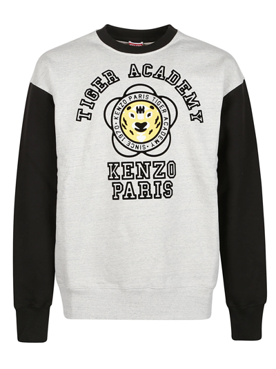 Shop Kenzo Tiger Academy Oversize Sweatshirt In Gris Perle