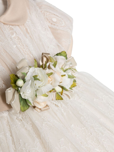 Shop Colorichiari Floral-lace Short-sleeve Dress In Neutrals