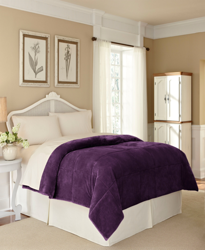 Vellux Luxury Plush Blanket, Full/queen In Plum