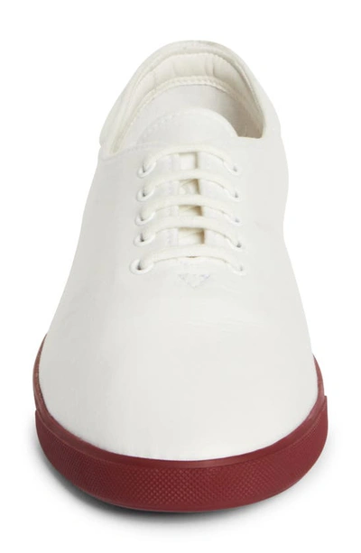 Shop The Row Sam Canvas Sneaker In White