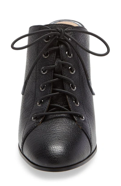 Shop Linea Paolo Sylvie Lace-up Mule In Black Leather