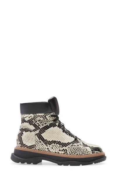 Linea Paolo Boca Lace-up Boot In Cream-black Leather