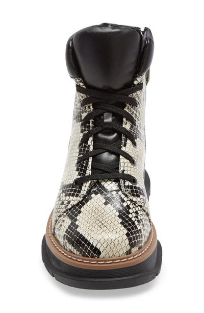 Linea Paolo Boca Lace-up Boot In Cream-black Leather