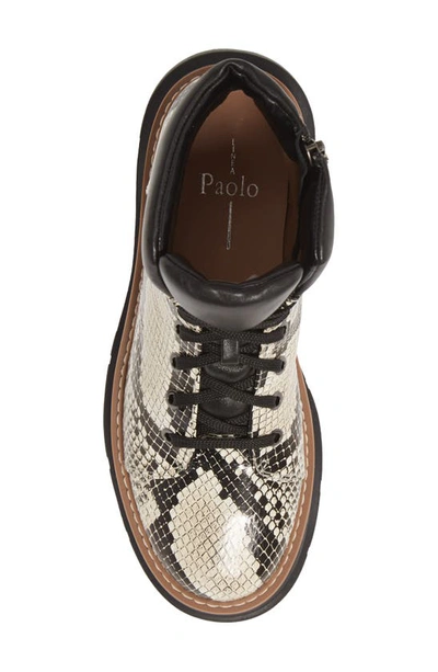 Linea Paolo Boca Lace-up Boot In Cream-black Leather