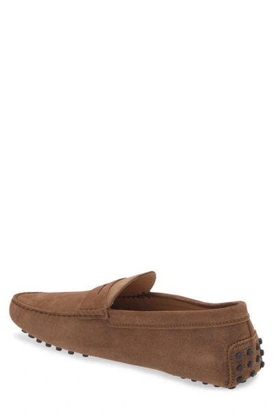 Tod's Gommino Driving Shoe In Noce Chiaro