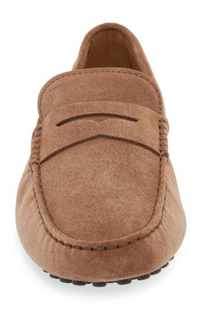 Tod's Gommino Driving Shoe In Noce Chiaro
