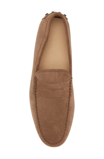 Shop Tod's Gommino Driving Shoe In Noce Chiaro