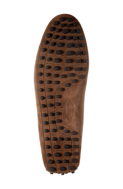 Tod's Gommino Driving Shoe In Noce Chiaro