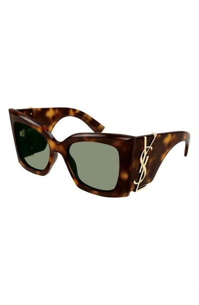 Shop Saint Laurent Blaze 54mm Cat Eye Sunglasses In Havana