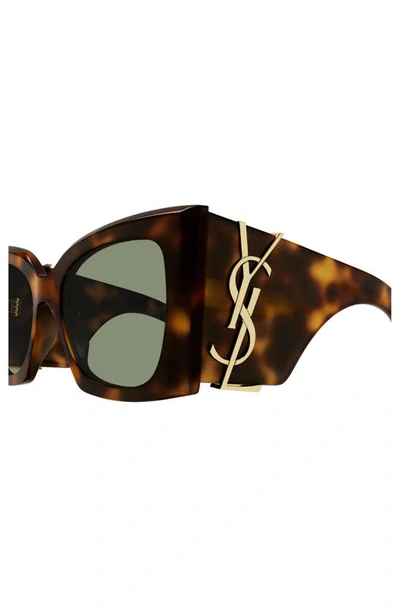 Shop Saint Laurent Blaze 54mm Cat Eye Sunglasses In Havana