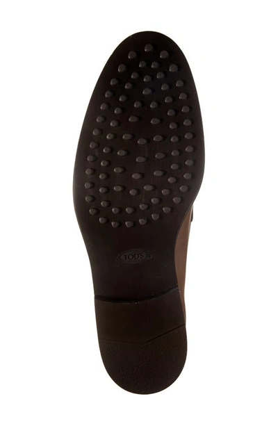 Tod's Penny Loafer Moccasin Shoes With Fine Stitching In Brown