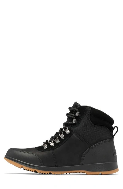 Shop Sorel Ankeny Ii Waterproof Hiking Boot In Black/ Gum 10