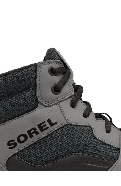 Shop Sorel Explorer Next Waterproof Sneaker In Grill/ Dove
