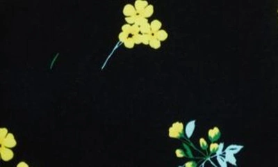 Shop Richard Quinn Floral Print Turtleneck Glove Sleeve Velvet Midi Dress In Buttercup