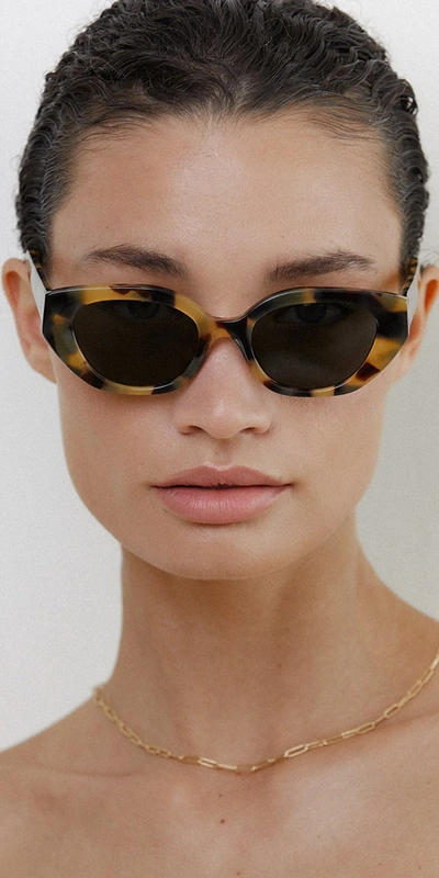 Velvet Canyon Le Chat Sunglasses Honey Tort