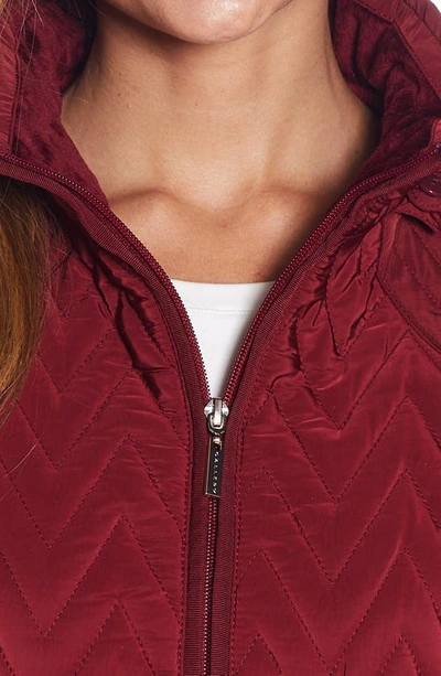 Shop Gallery Hooded Quilted Jacket In Merlot