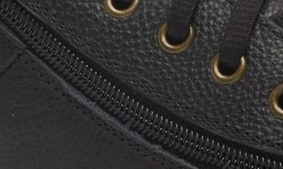 Billy Footwear Comfort Lo Zip Around Sneaker In Black