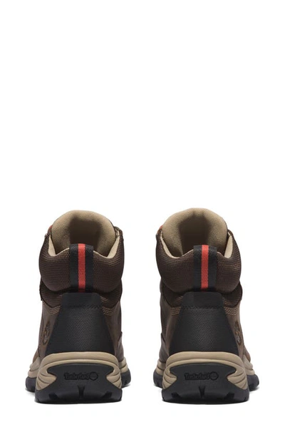Timberland White Ledge Waterproof Hiking Boot In Dark Brown Full Grain