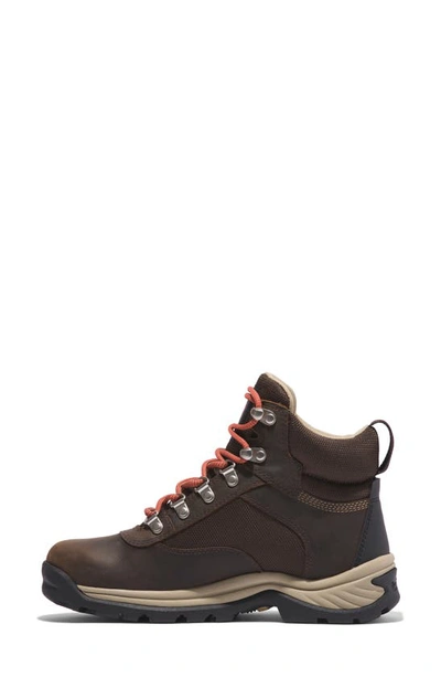 Shop Timberland White Ledge Waterproof Hiking Boot In Dark Brown Full Grain