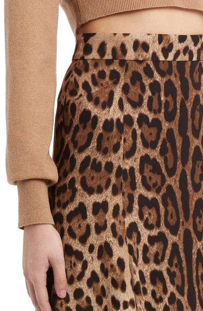 Shop Dolce & Gabbana Leopard Print Stretch Cady A-line Skirt In Light Brown Print