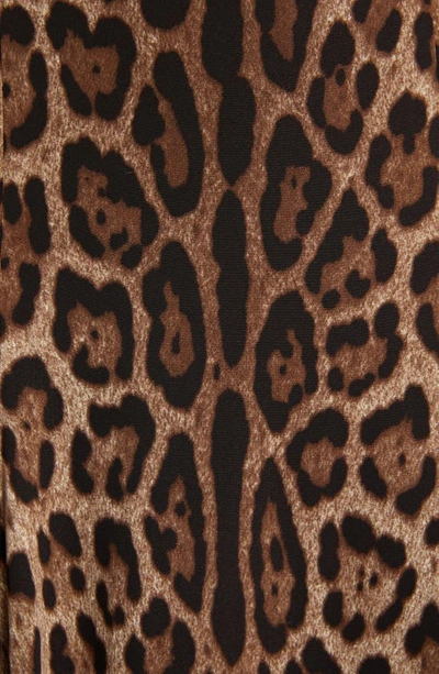 Shop Dolce & Gabbana Leopard Print Stretch Cady A-line Skirt In Light Brown Print