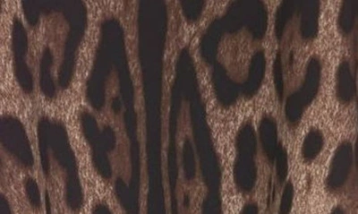 Dolce & Gabbana Dolce&gabbana Leopard Print Stretch Cady A-line Skirt In Light Brown Print