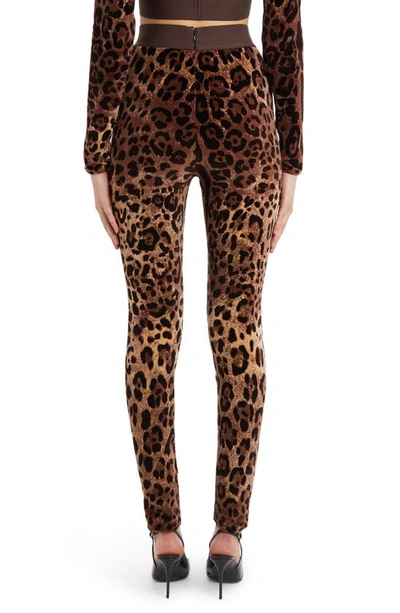 Shop Dolce & Gabbana High Waist Leopard Print Cotton Blend Leggings In Print Leo