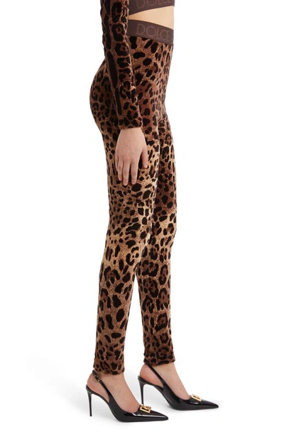 Shop Dolce & Gabbana High Waist Leopard Print Cotton Blend Leggings In Print Leo